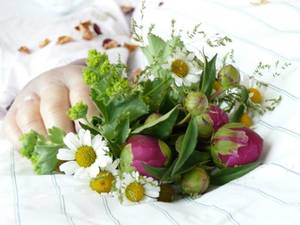 Quelle: © Christine Limmer_Pfarrbriefservice